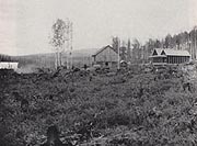 A field of stumps surround the few buildings of the experiment station about 1909. Photo: Rasmuson Library