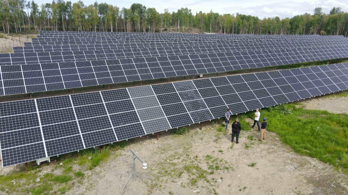 Willow Solar Farm