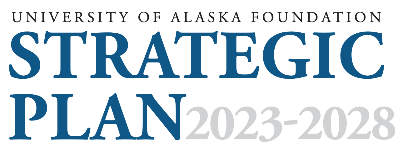 Graphic element displaying the title of the strategic plan document.