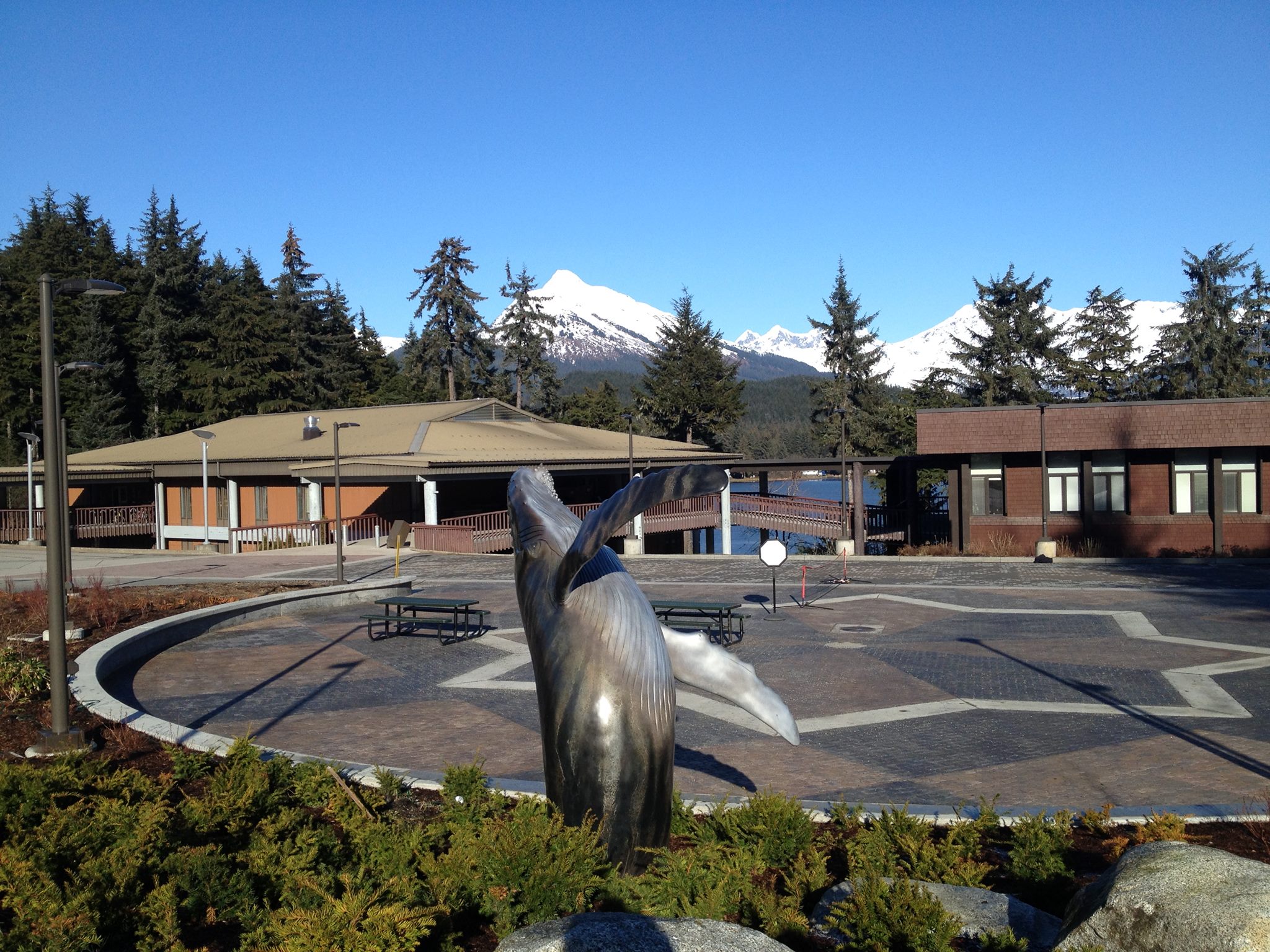 UAS campus sunny day with breaching whale statue, snow-topped mountains in background