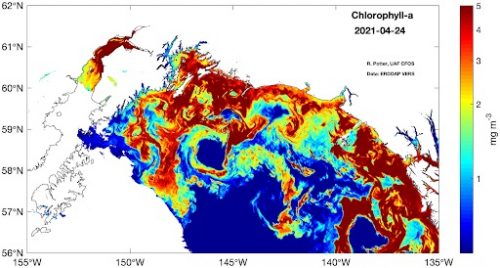 Satellite Ocean Image