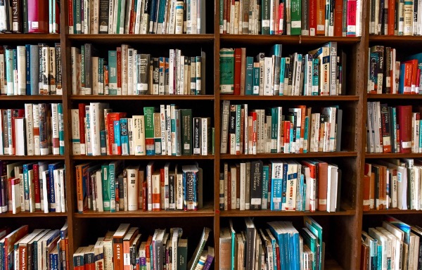 multiple rows of book spines at the library