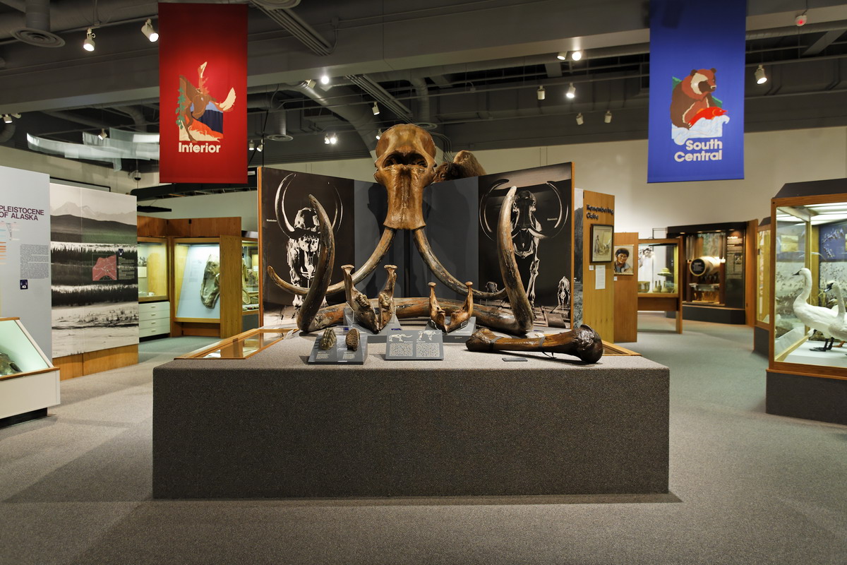 UA Museum of the North Alaska room display