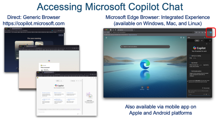 Copilot access