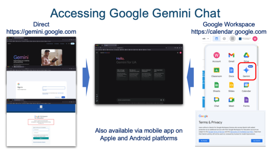 Accessing Google Gemini