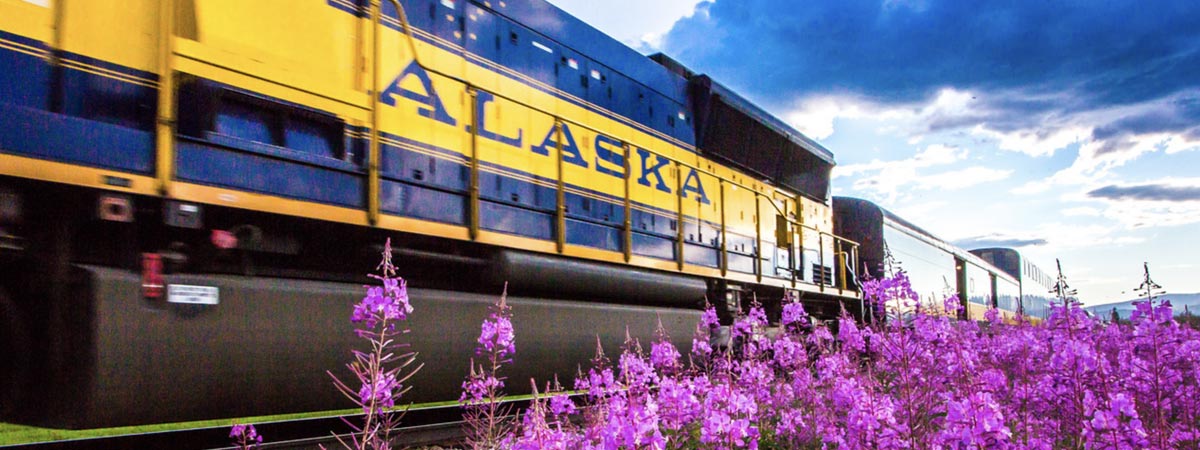 Alaska railroad engine passing fireweed