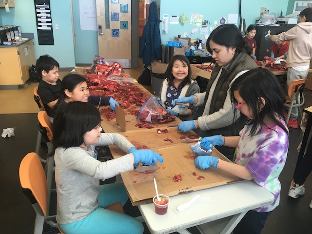 akiak students dress moose