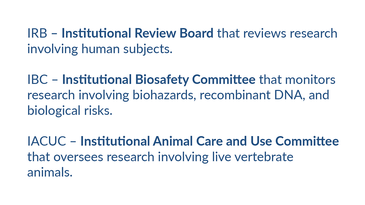 The three I's - the IRB, IACUC and IBC.
