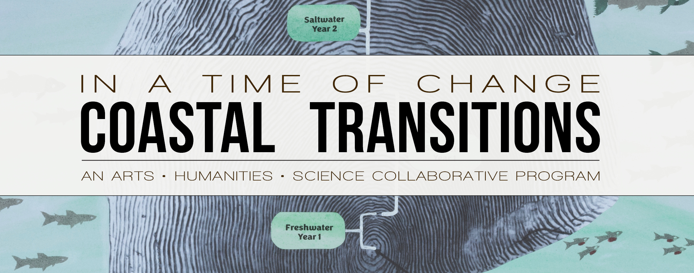 ITOC Coastal Transitions