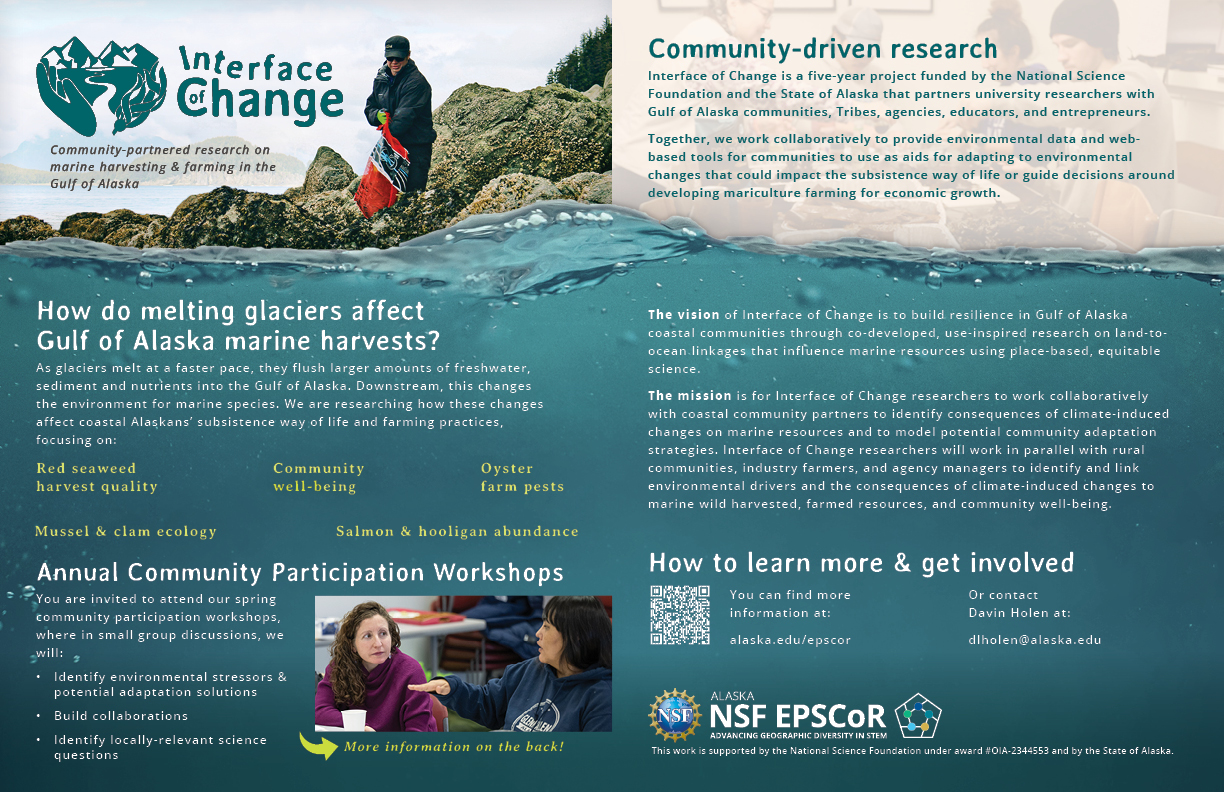 Interface of Change 2-pager flyer