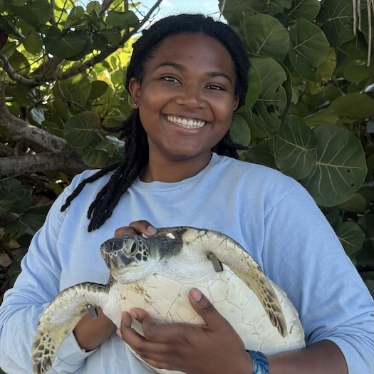 Joyce Sanks holding a sea turtle