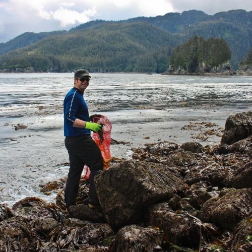University of Alaska Anchorage anthropologist Davin Holen harvests seaweed near Hoonah.