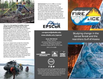 Fire & Ice Brochure