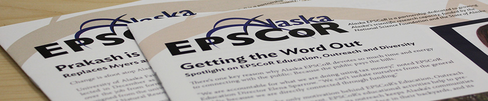 newsletters