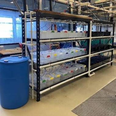 Shelving with plastic totes and a system of PVC piping and wires.