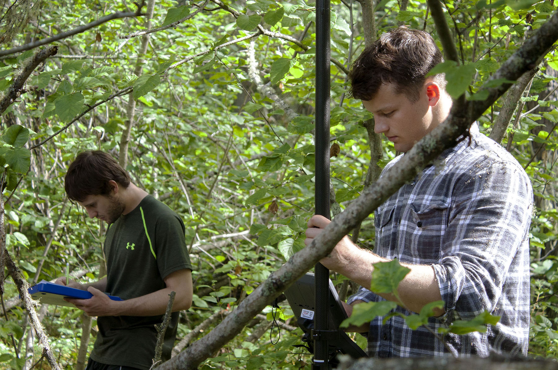 fieldwork
