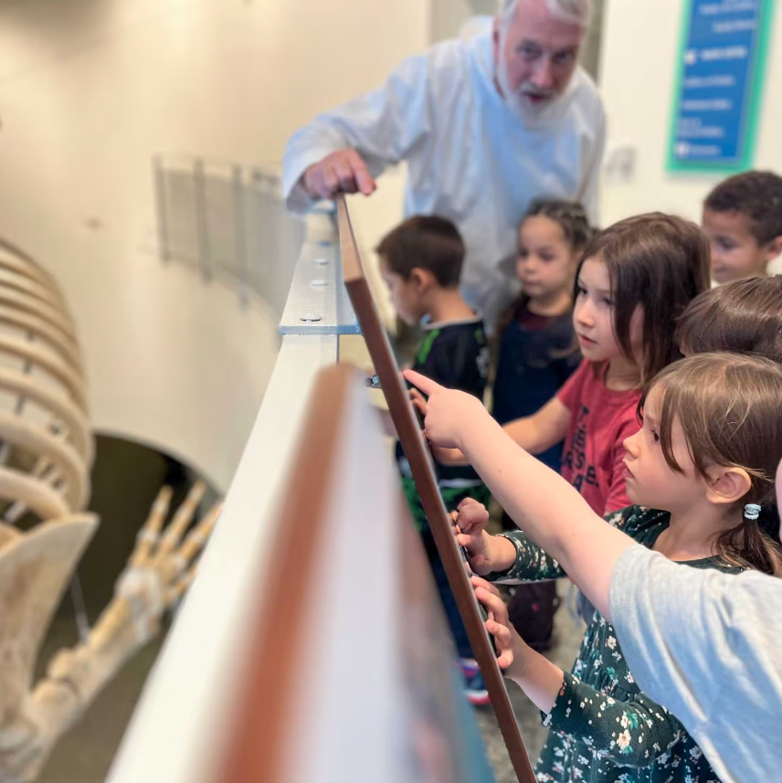Children on a field trip looking at the bowhead whale skeleton.