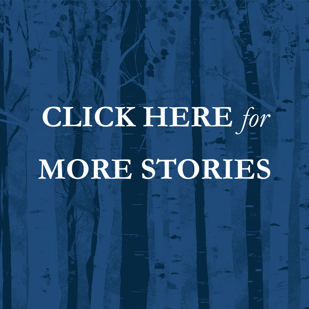 Click Here for More Stories button