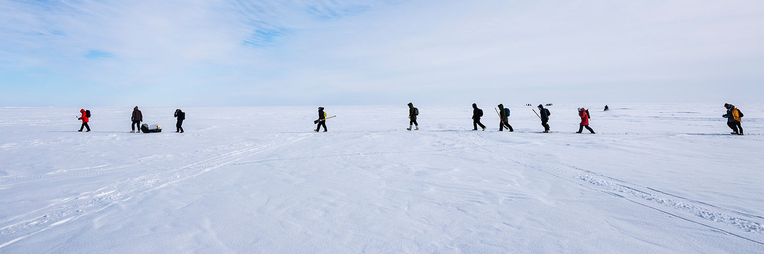 arcticwalking