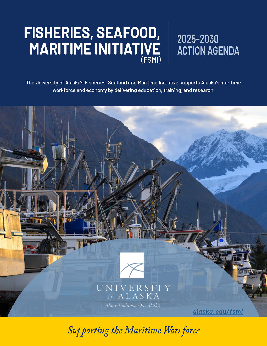 Cover of the FSMI Action Agenda 2025-2030