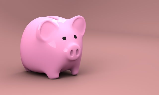 pink piggy