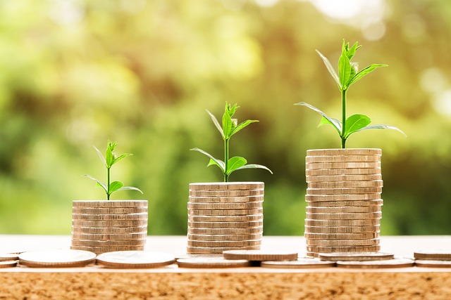 Tax-deferred Annuity (TDA) / 403(b) changes for calendar year 2024