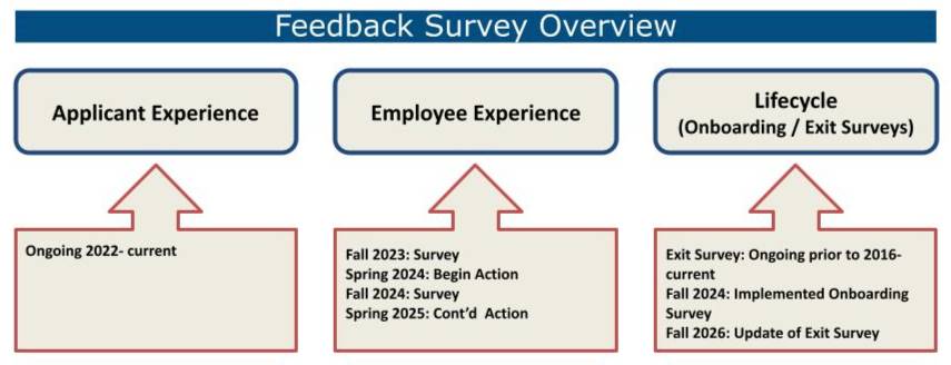 A graphic showing the employee experience survey timeline