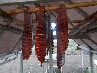 Drying Salmon
