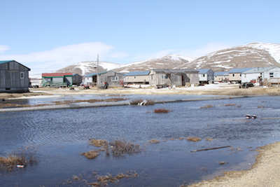 caribou hide