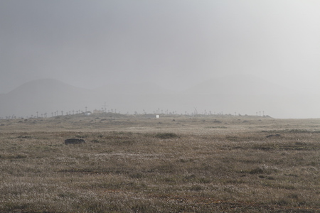 Savoonga Cemetary