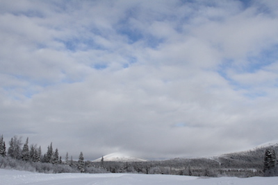 Elim sky