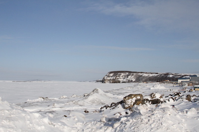 Stebbins Bluff