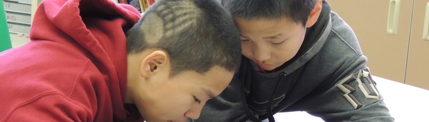 Students look through owl pellets for REACHUp