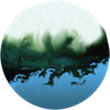 algae