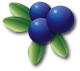 blueberries