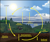 carboncycle