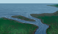 coastal plain