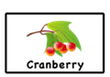 cranberry