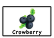 crowberry