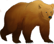 grizzly