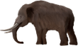 mastadon