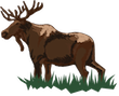 moose