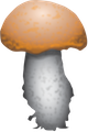 mushroom