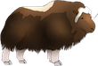 muskox