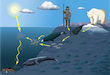 ocean interconnectivity