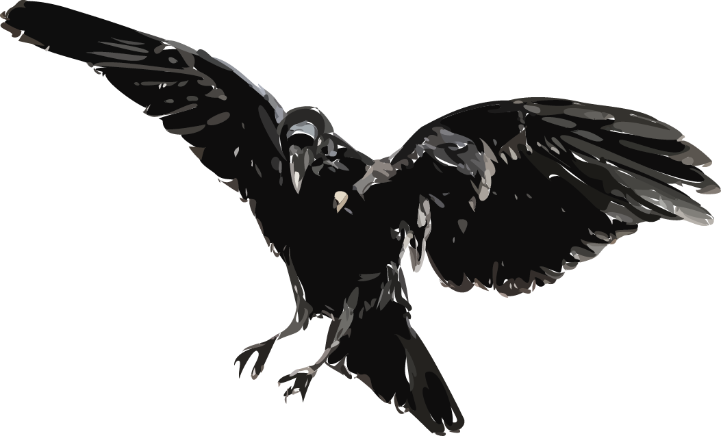 raven