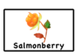 salmonberry