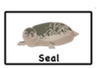 seal