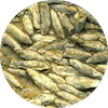 sedimentary3