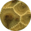 sedimentary4